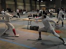 Fencing Picture